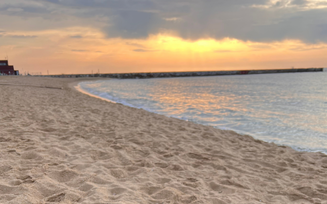 Sungazing 🌞 grounding y mindfulness en la playa de Barcelona ¡Miércoles 7AM!